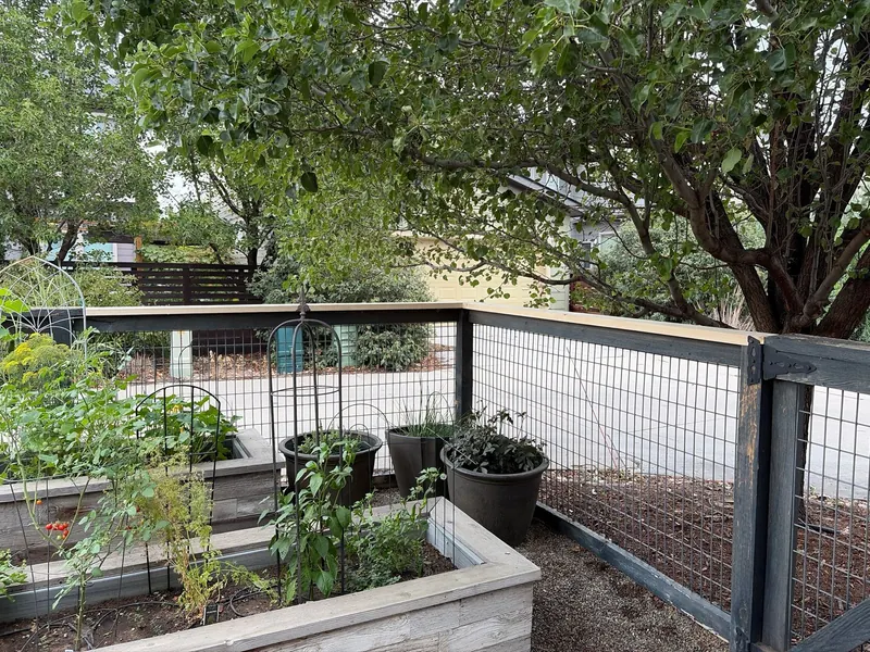 New wood top rail installed on the homeowner's fence during the same project
